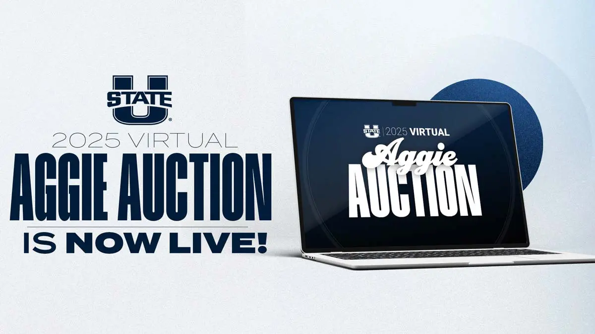 auction graphic